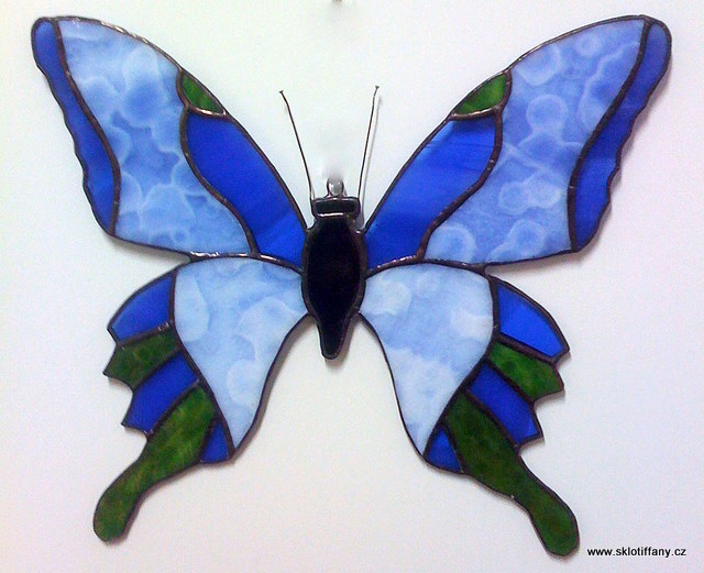 Motýl 3