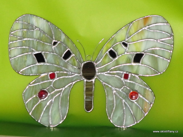 Motýl 16