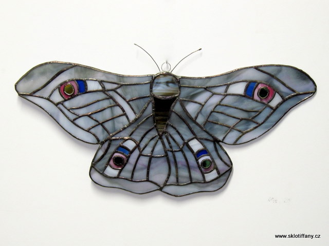 Motýl 17